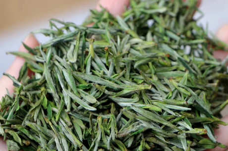 黄山毛峰属于什么茶？