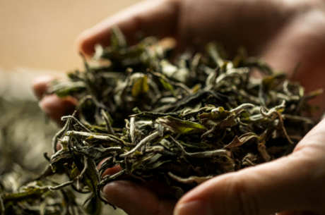 肉桂属于什么茶？