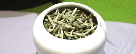 什么是白茶