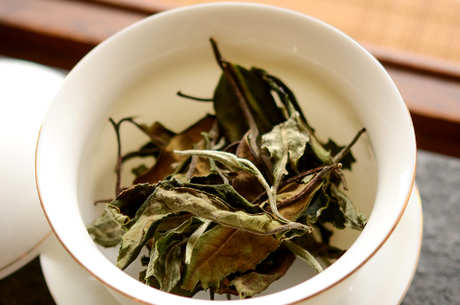 什么是白茶
