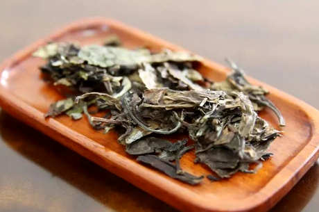 什么是白茶