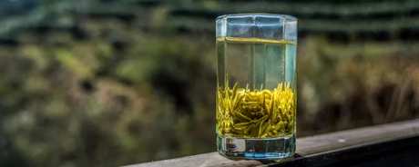 龙井茶属于绿茶吗？