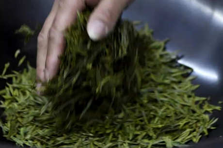 龙井茶属于绿茶吗？