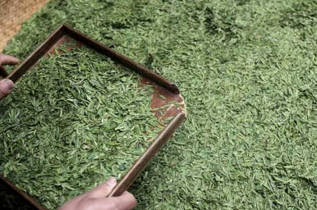 龙井茶属于绿茶吗？
