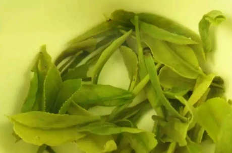 红茶和绿茶的区别