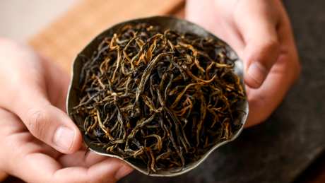 滇红属于什么茶？