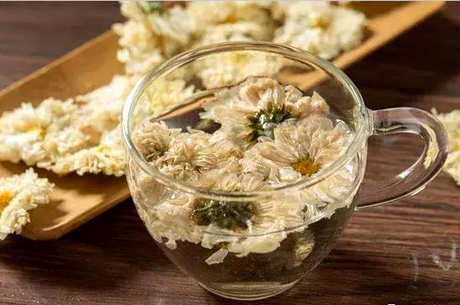菊花泡水喝的九大禁忌