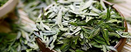 绿茶是什么？