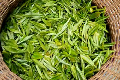 绿茶有哪些种类？