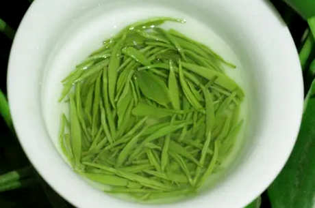 信阳毛尖是绿茶吗？