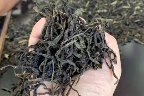什么茶属于大乌叶？