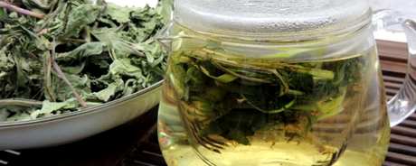 如何制作蒲公英茶？