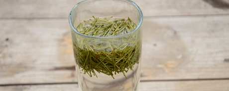 制作松针茶的方法
