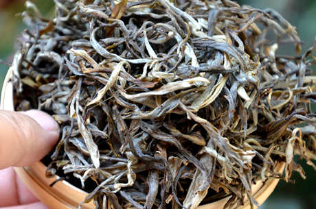 生茶好还是熟茶好