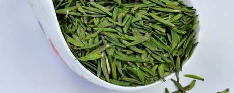 雀舌属于什么茶？