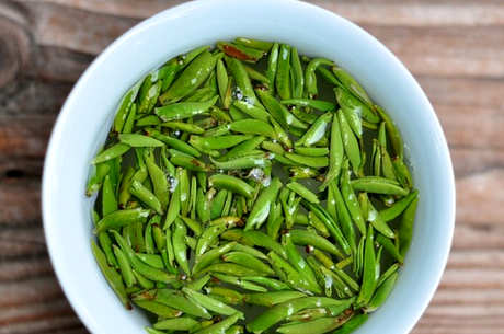 雀舌属于什么茶？