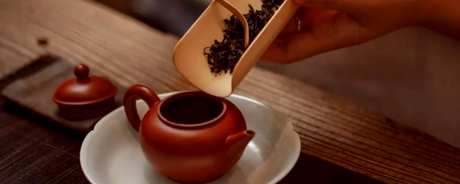 普洱茶泡法