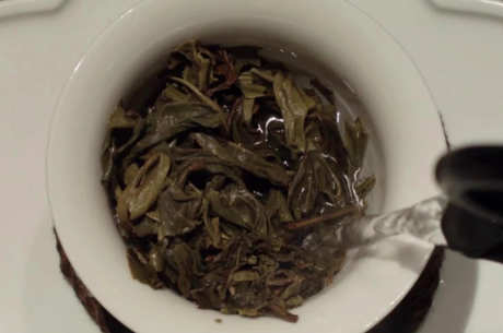 怎样冲普洱茶？