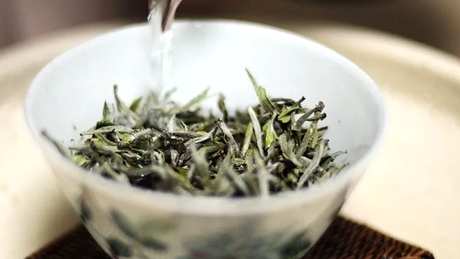 什么茶属于白茶？