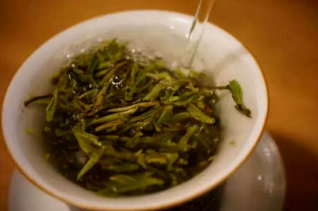 什么茶属于白茶？