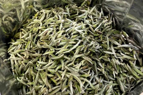 什么茶属于白茶？