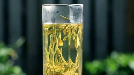 龙井茶属于什么茶？