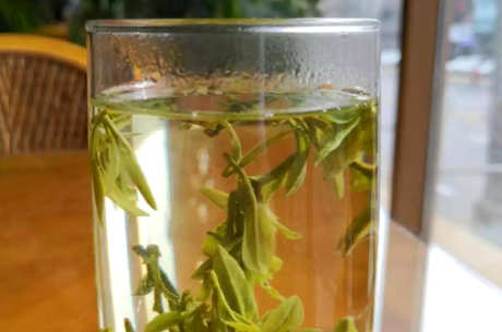 龙井茶属于什么茶？