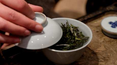 白茶怎么喝
