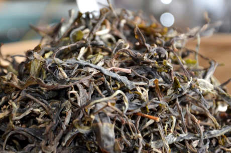 普洱茶生茶和熟茶的区别