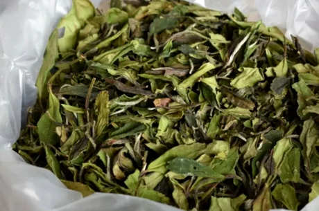 如何保存茶叶？