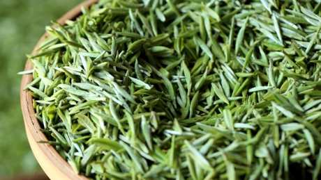 绿茶是什么茶？