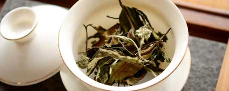 白茶保质期