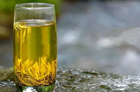 六大茶的代表茶
