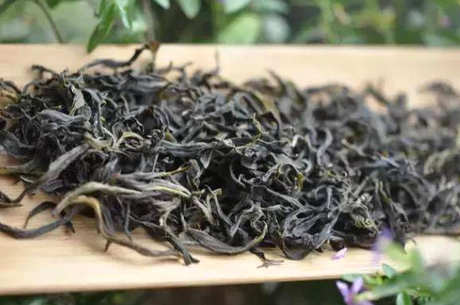 锯多仔是什么茶？