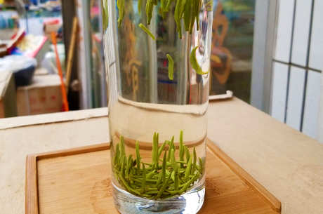 开化龙顶属于什么茶？