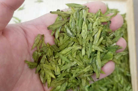 绿茶的生产工艺