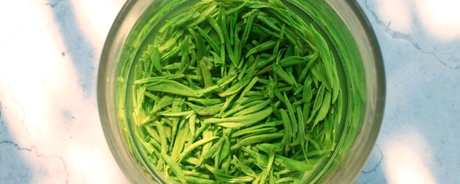 中国十大经典绿茶