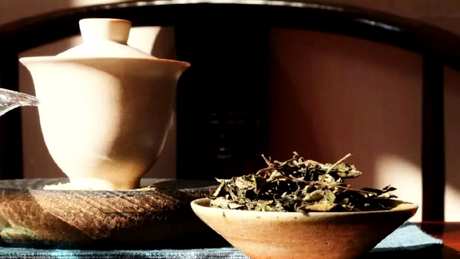 白茶怎么泡