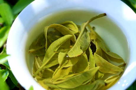 碧螺春是绿茶吗？