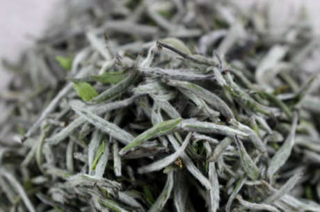 白茶有哪些
