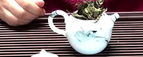 白茶有哪些品种？