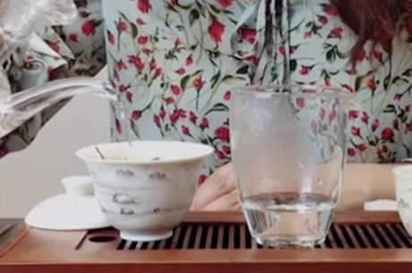 白茶有哪些品种？