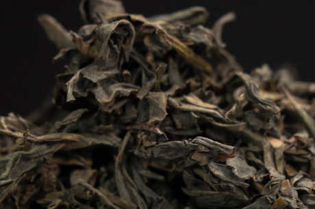 茶叶的保质期是多长
