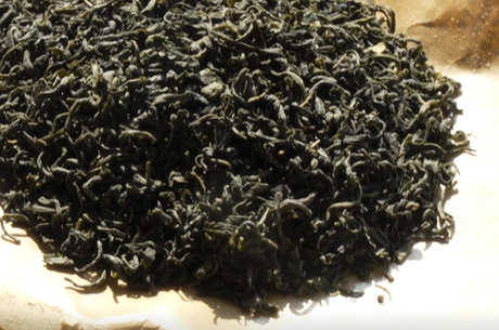 绿茶属于什么发酵茶？