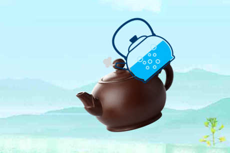 怎样喝普洱茶？