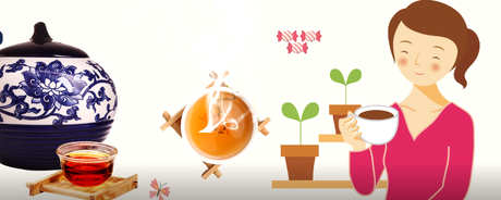易武古树茶的特点