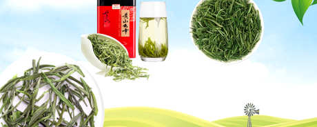 毛峰是绿茶吗？