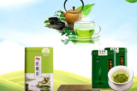 毛峰是绿茶吗？