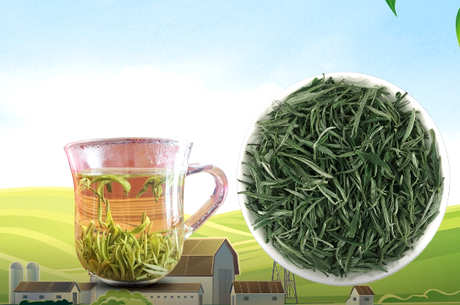 毛峰是绿茶吗？