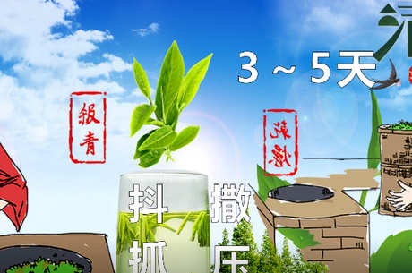 什么茶是竹叶青？